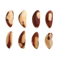 Fresh High Quality Cheap Brazil Nuts From Top Suppliers In Peru