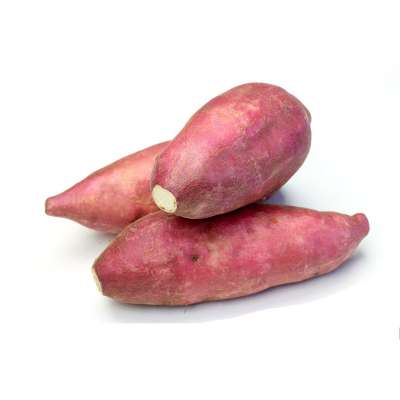 Fresh, High Quality Sweet Potatoes from Peru