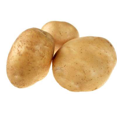 Fresh and High-quality Yellow Potatoes from Peru